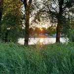Natuurlijk!